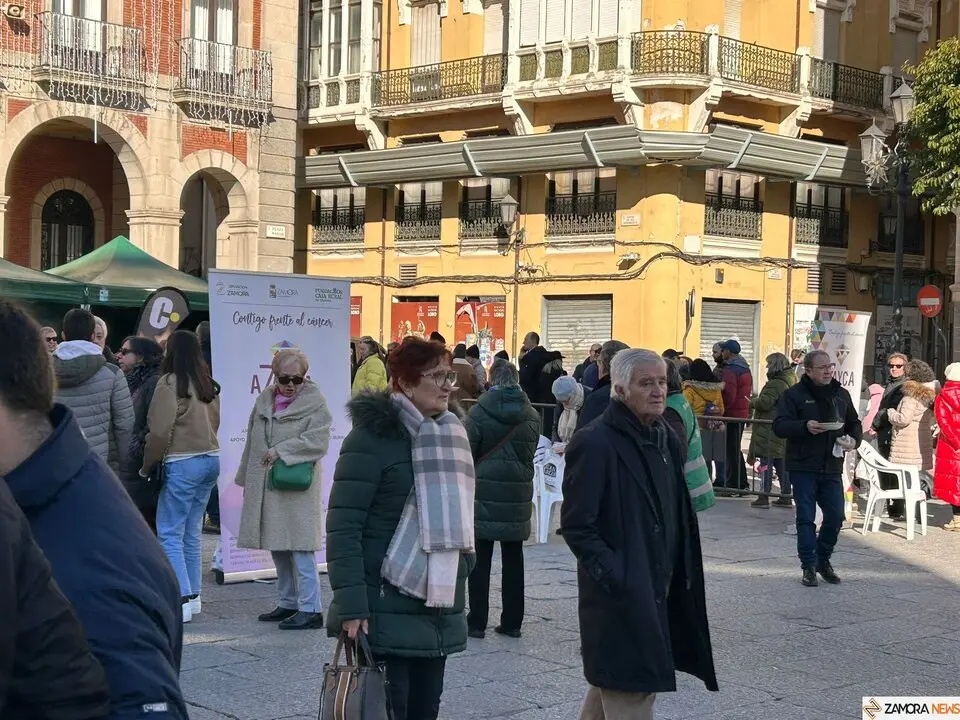 La Sanantonada solidaria reúne a decenas de personas en la Plaza Mayor