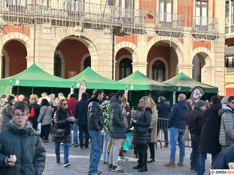 La Sanantonada solidaria reúne a decenas de personas en la Plaza Mayor