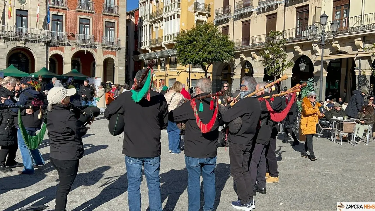 La Sanantonada solidaria reúne a decenas de personas en la Plaza Mayor