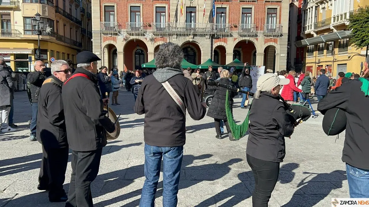 La Sanantonada solidaria reúne a decenas de personas en la Plaza Mayor