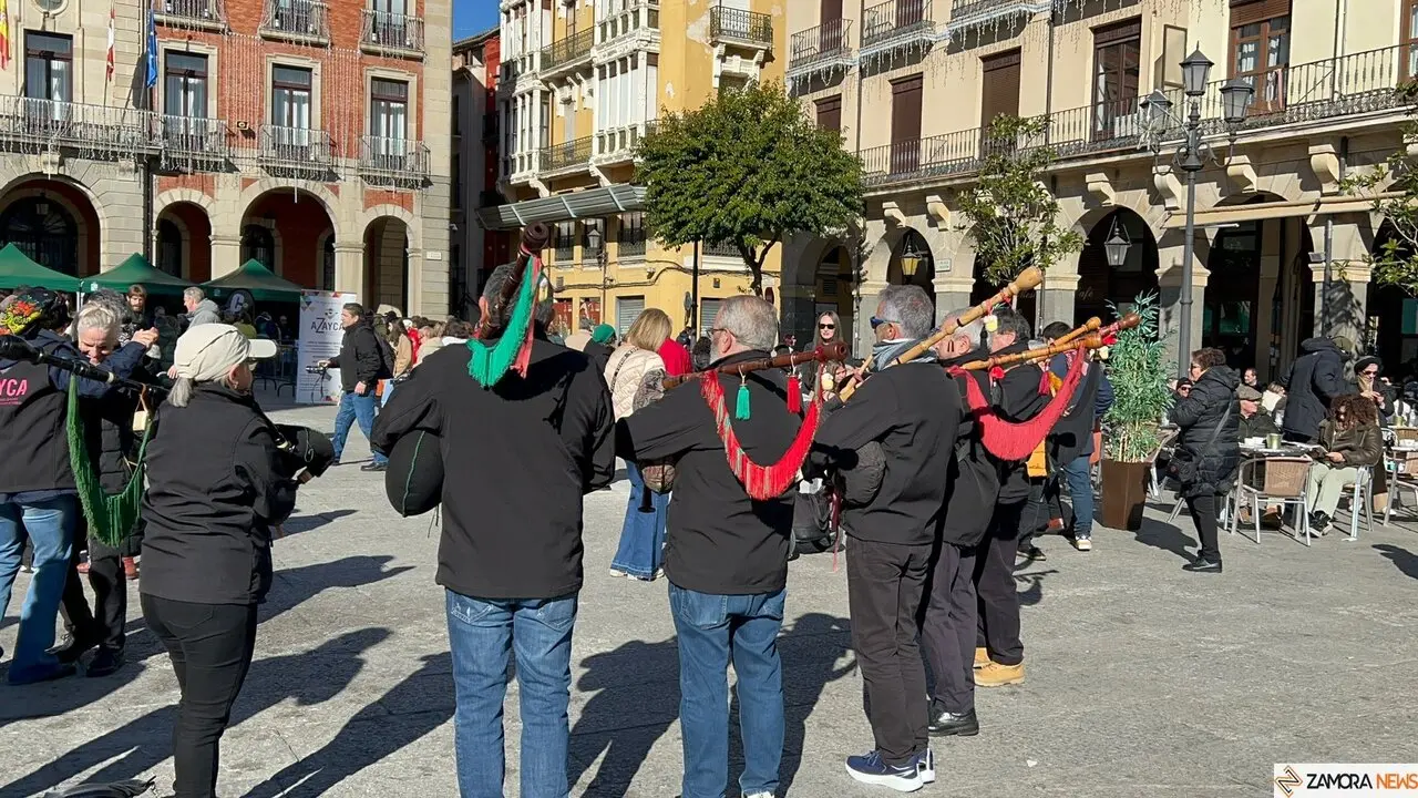 La Sanantonada solidaria reúne a decenas de personas en la Plaza Mayor