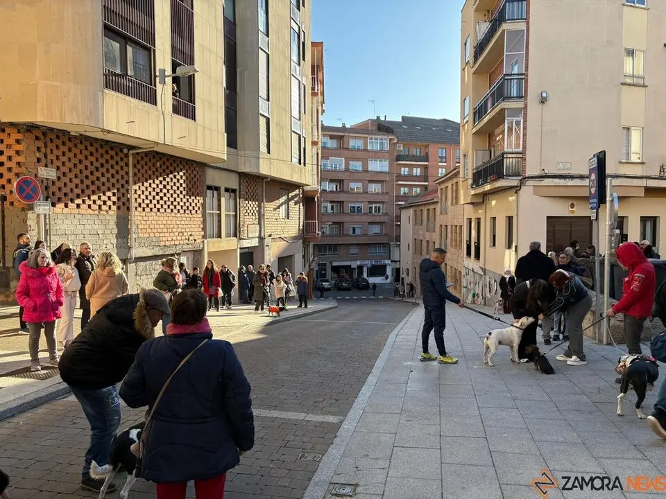 Bendición San Antolín 2025_15