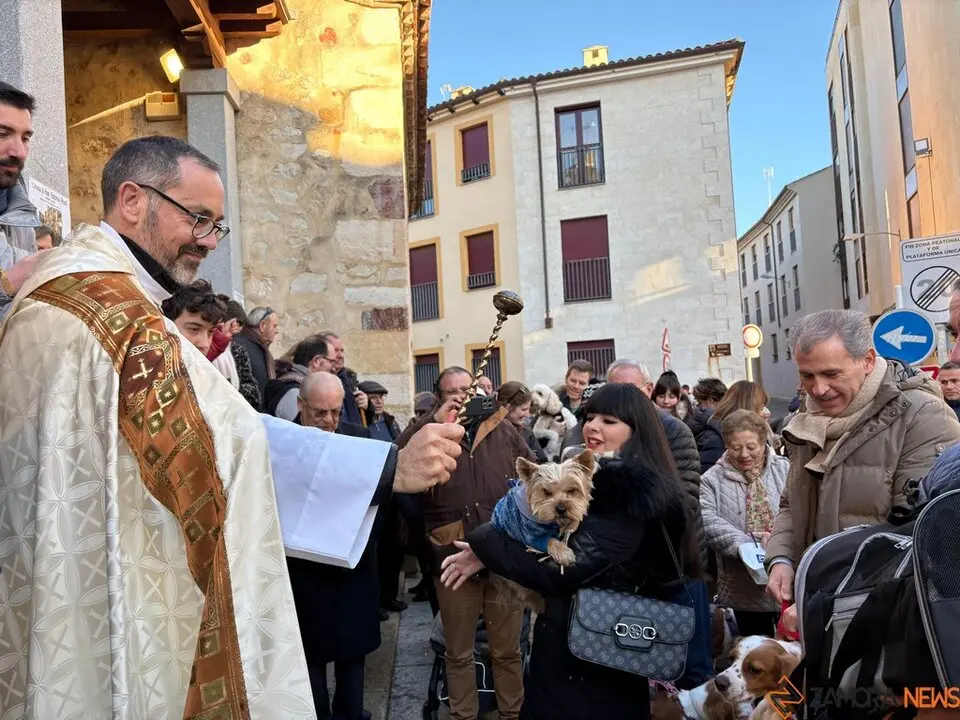 Bendición San Antolín 2025_29