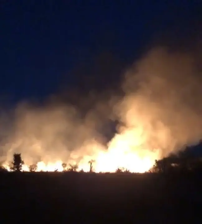 Incendio en Olleros de Tera (Zamora)