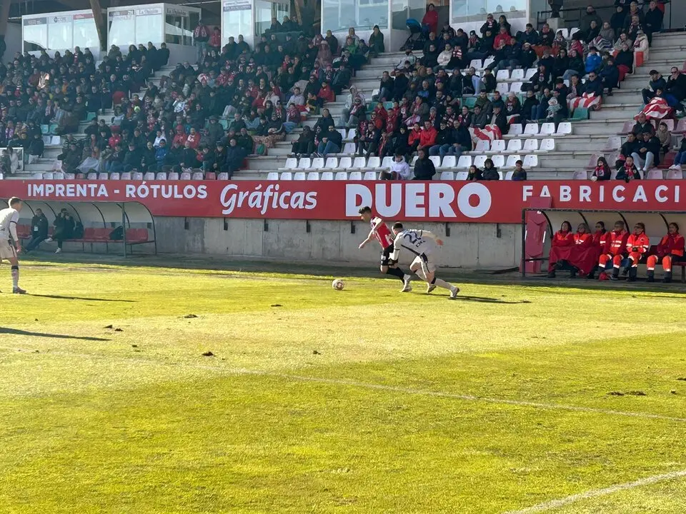 Zamora CF vs Osasuna B