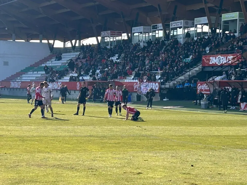 Zamora CF vs Osasuna B