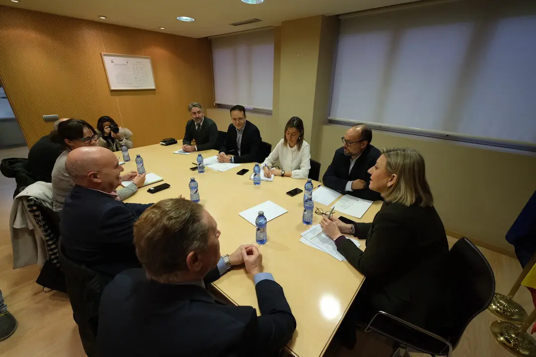 Reunión con Plena Inclusión Castilla y León