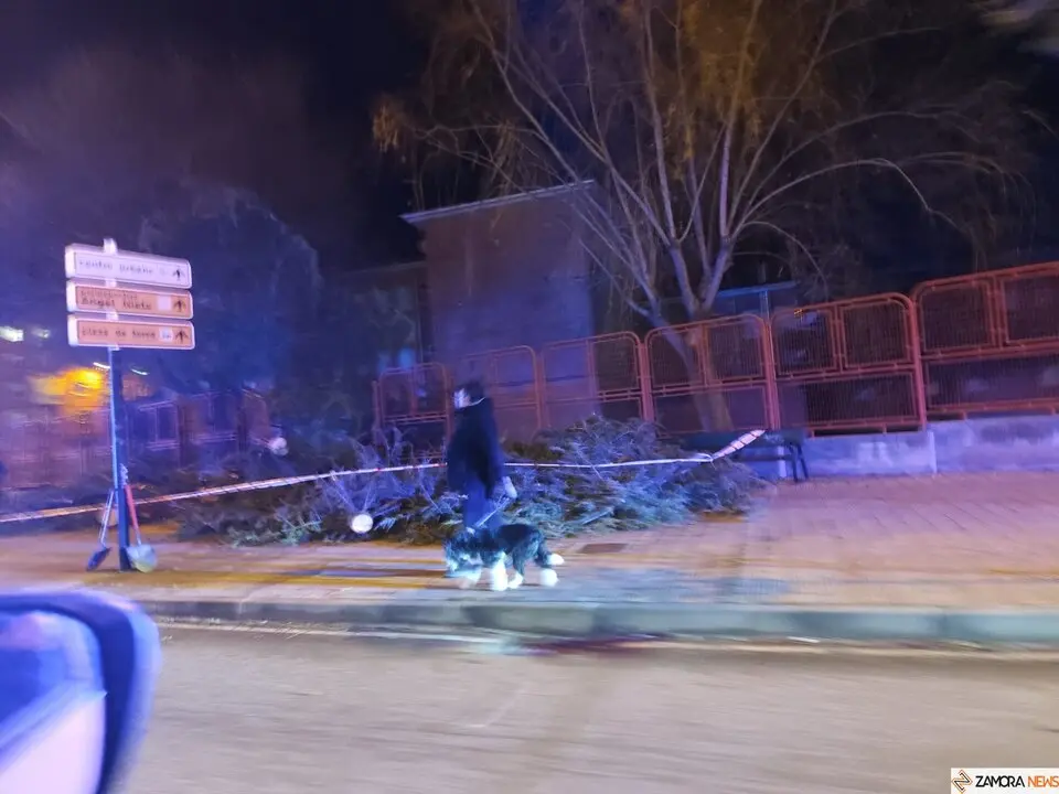 Herminia causa estragos en la ciudad de Zamora