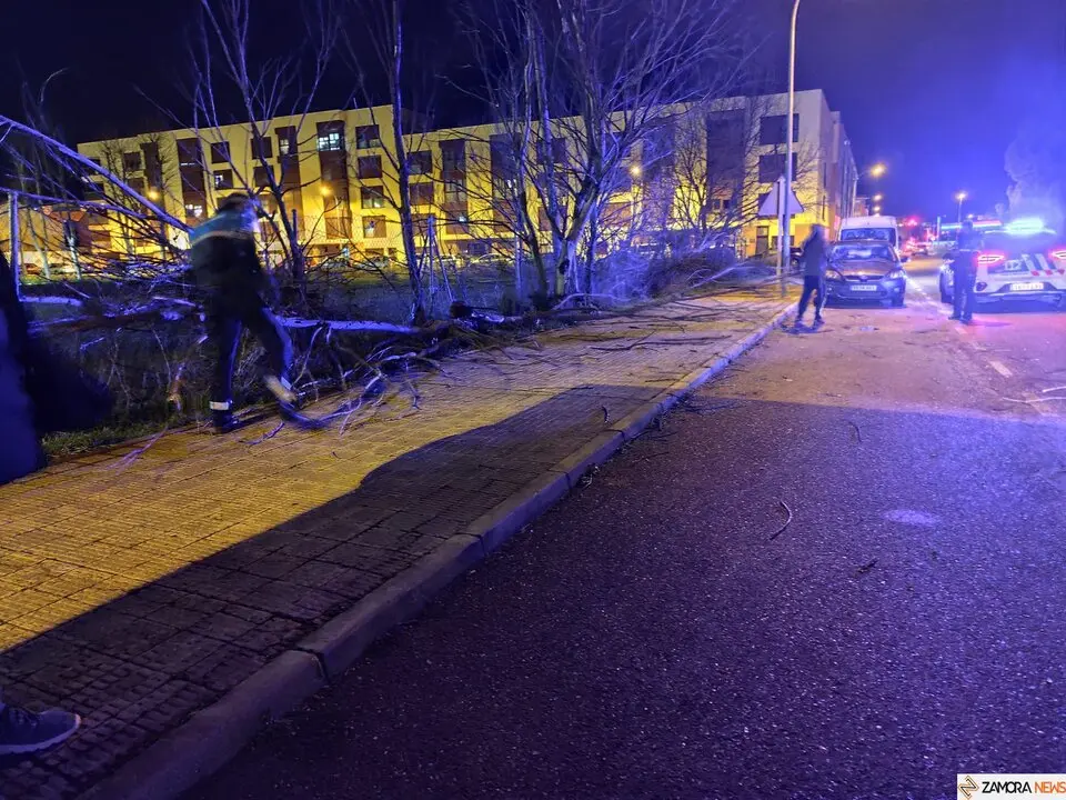 Herminia causa estragos en la ciudad de Zamora