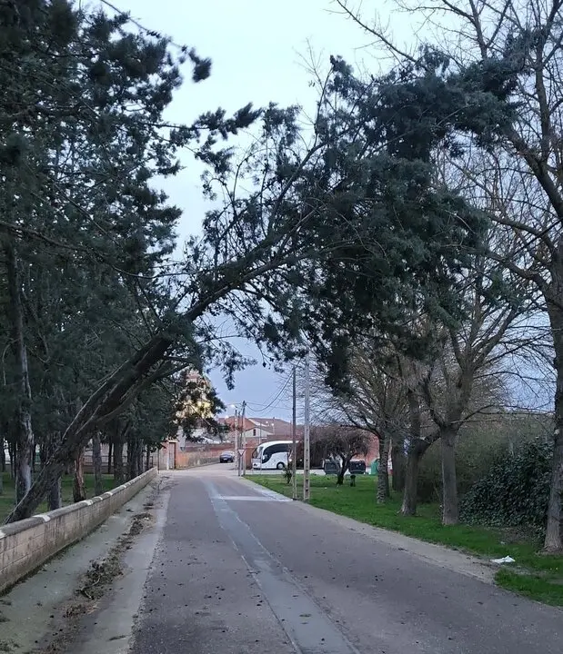 Camino Villaralbo