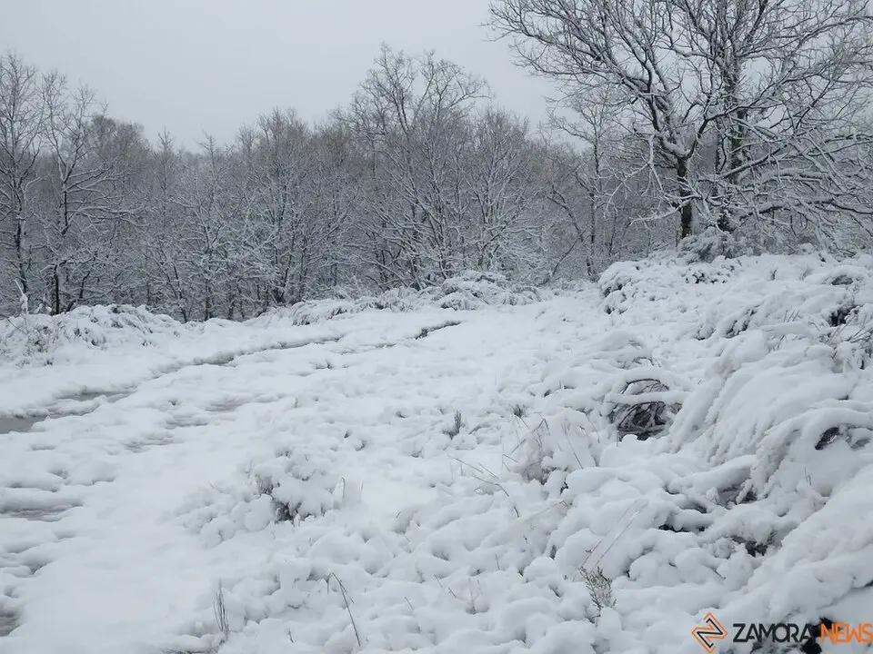 nieve Lubián _29