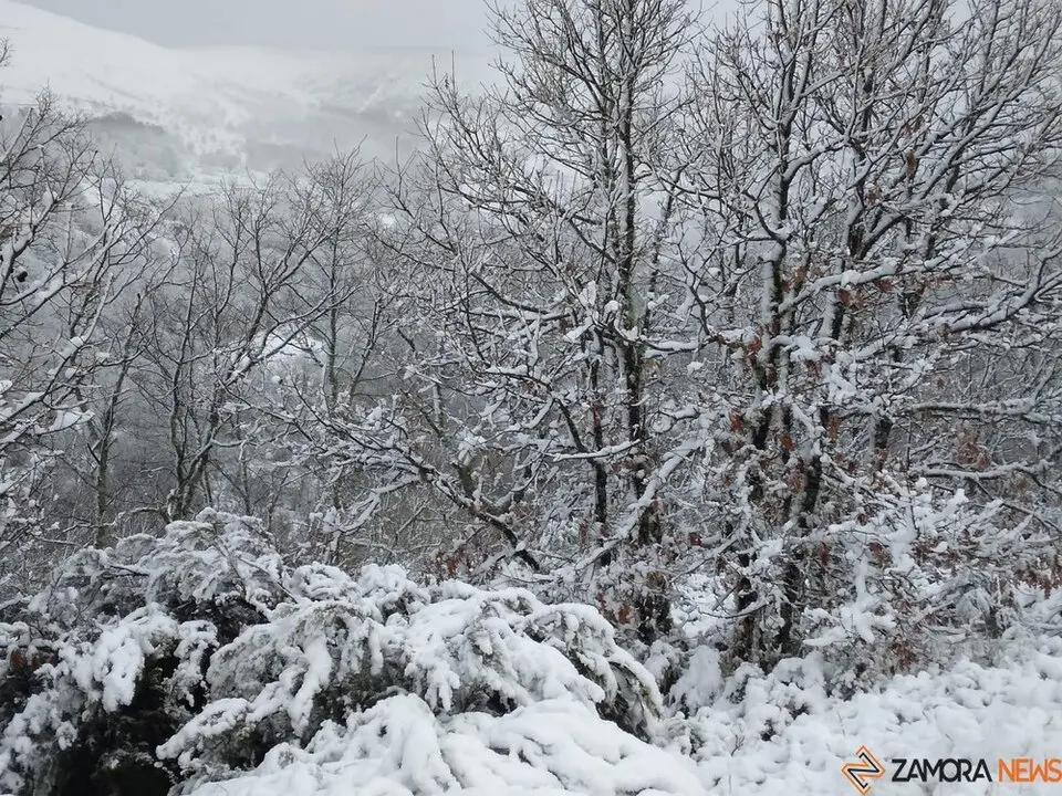 nieve Lubián _9