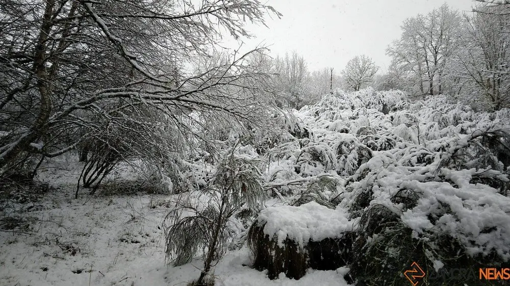 nieve Lubián _11