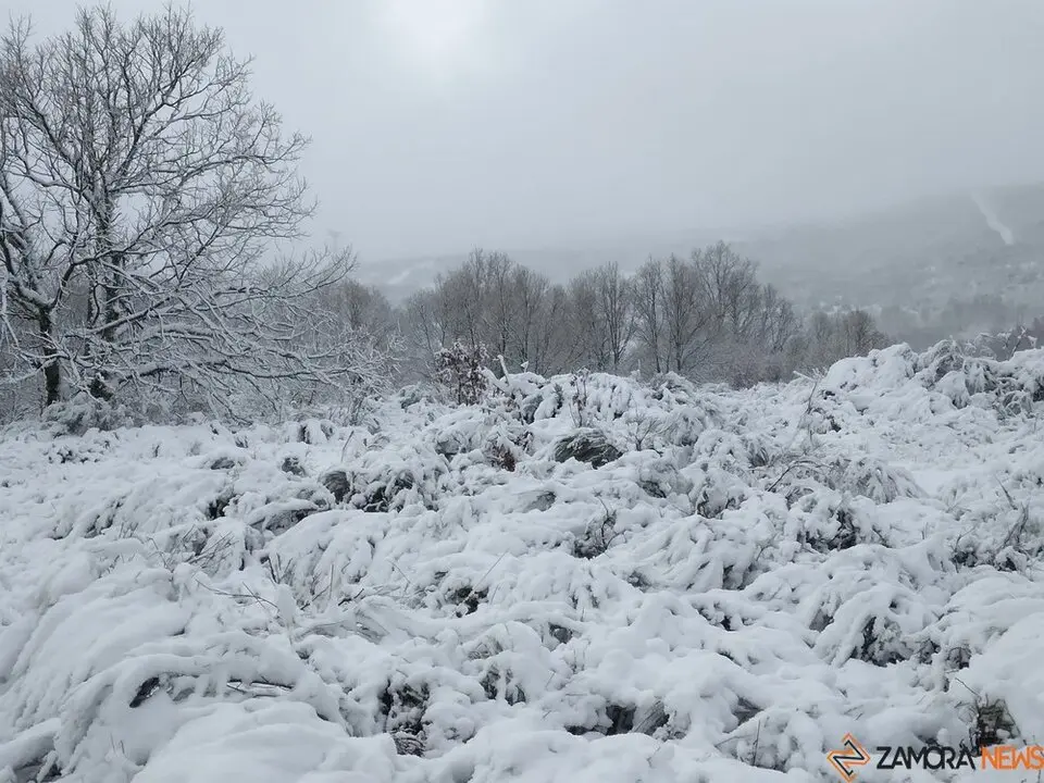 nieve Lubián _15