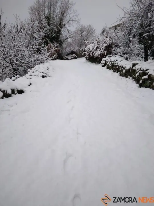 nieve Lubián _16