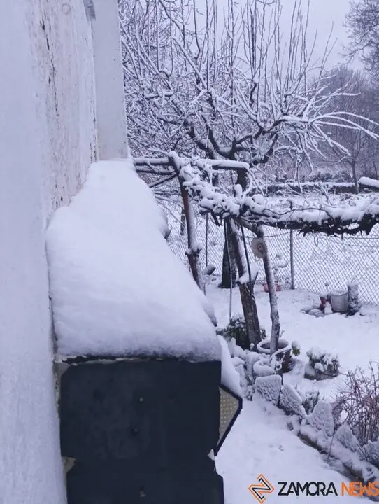 nieve Lubián _19