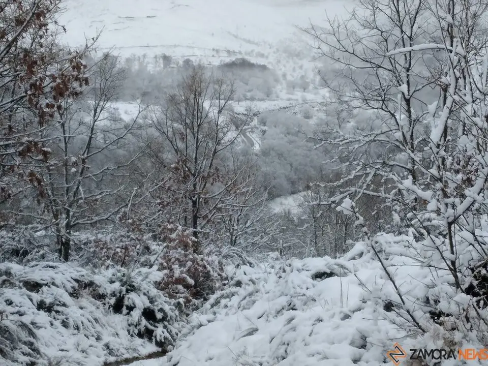 nieve Lubián _22