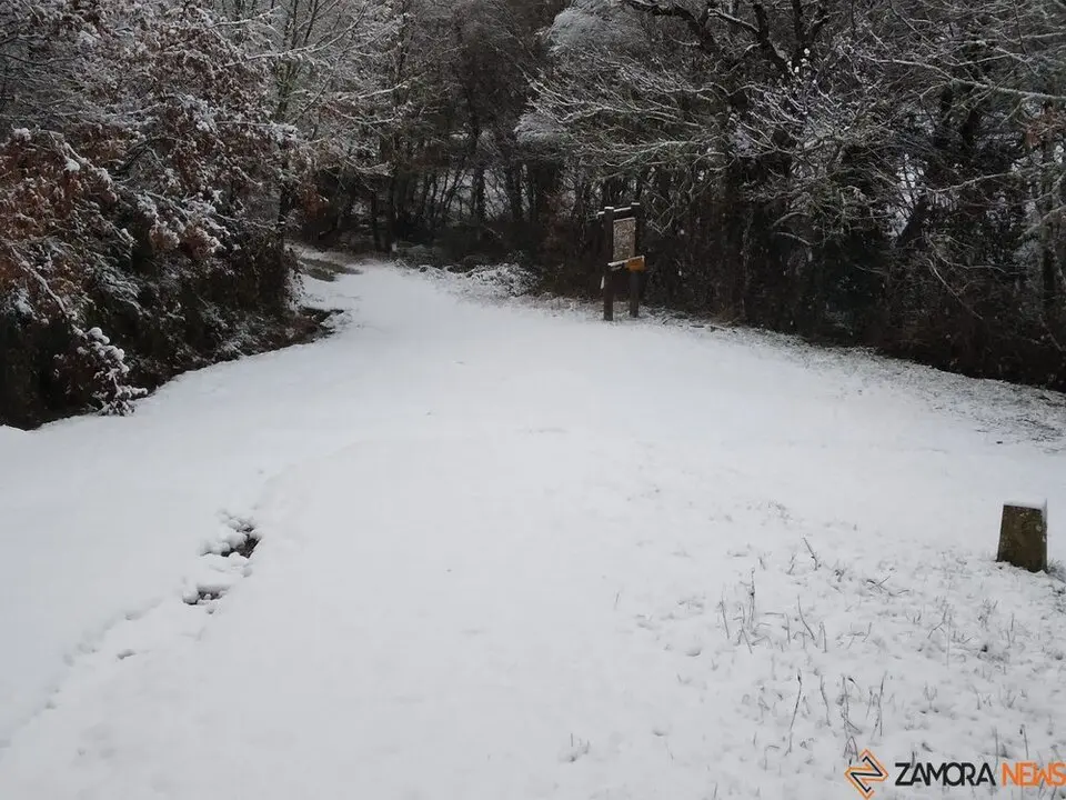 nieve Lubián _25