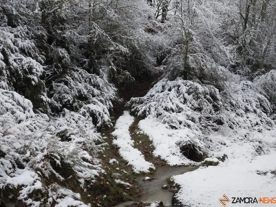 nieve Lubián _27