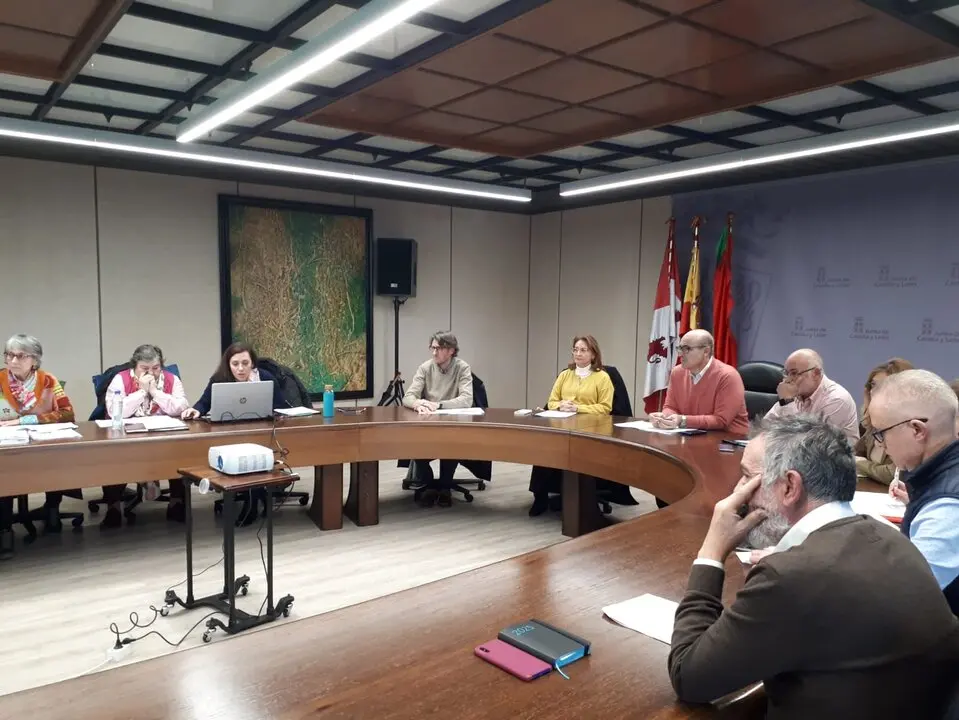 Comisión Patrimonio enero