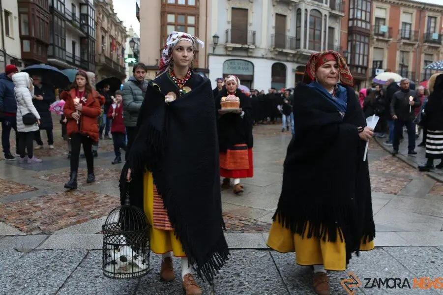 Zamora celebra Las Candelas _12