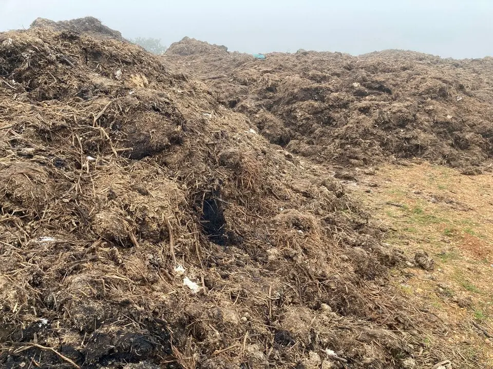 VERTIDOS PESTILENTES CON SUBPRODUCTOS ANIMALES EN EL CUBO DEL VINO