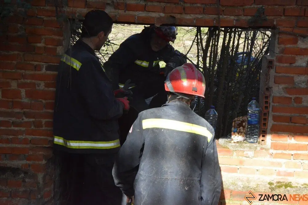 acción norte_77 - copia