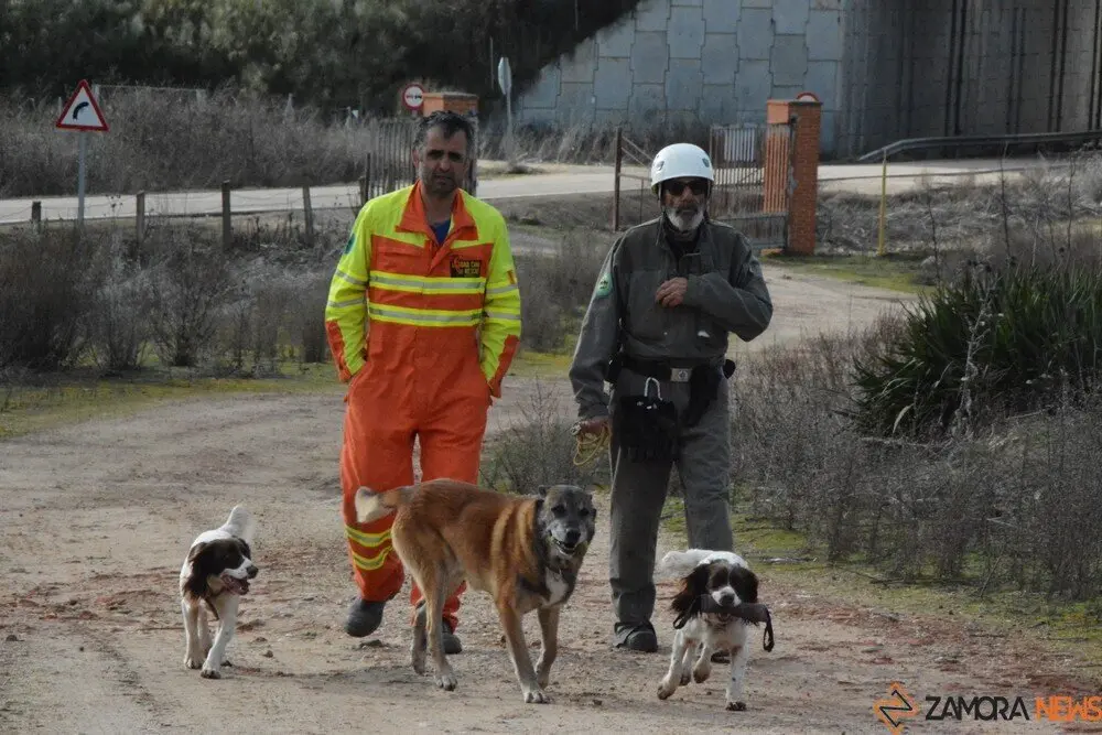 acción norte_229 - copia