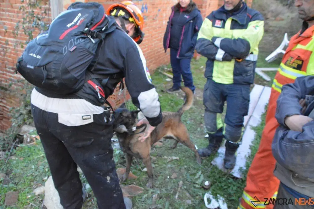 acción norte_242 - copia
