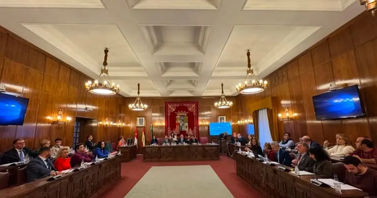 pleno diputación