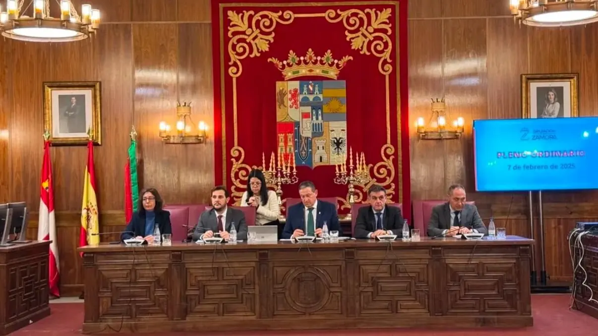 pleno diputación1