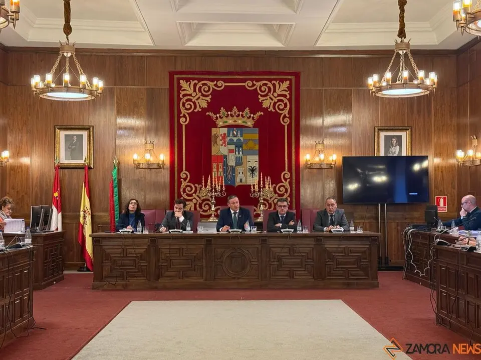 pleno diputación2