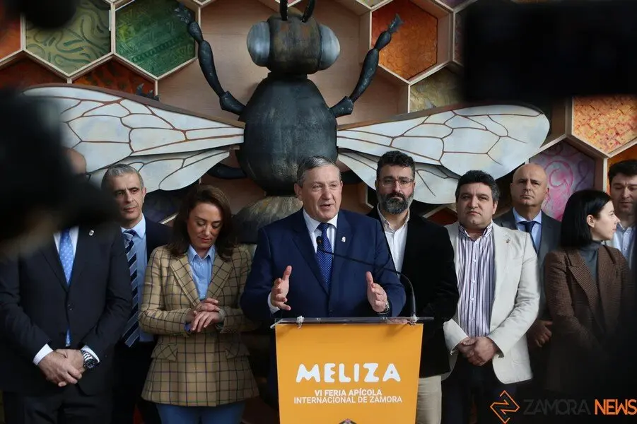 MELIZA 2025_28
