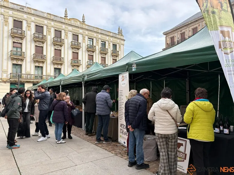 Mercado Ecologico Zamora_3