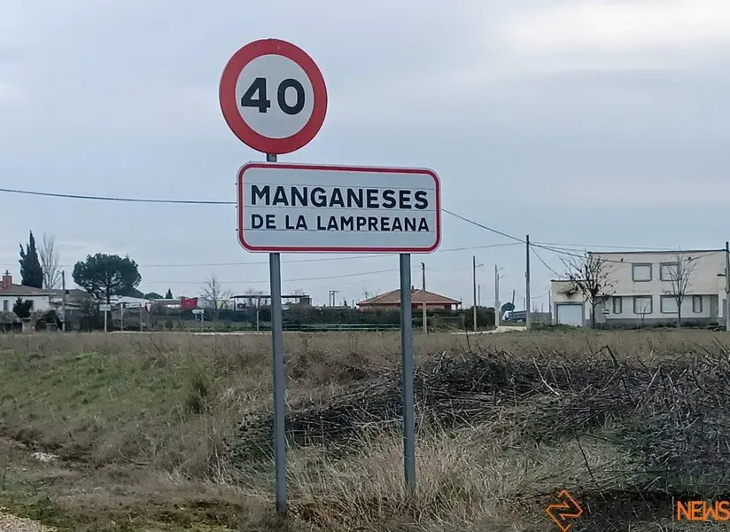 Manganeses de la Lampreana _2