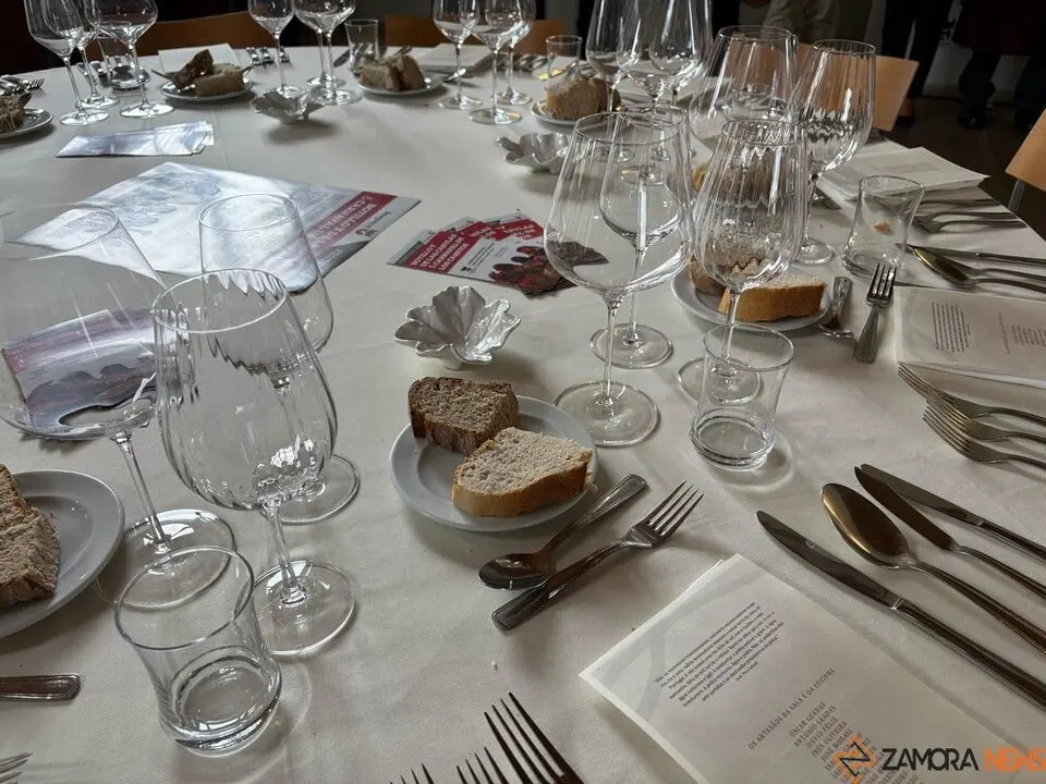 Festival Bragança_4