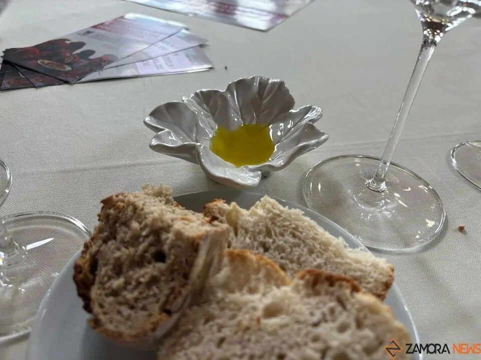 Festival Bragança_7