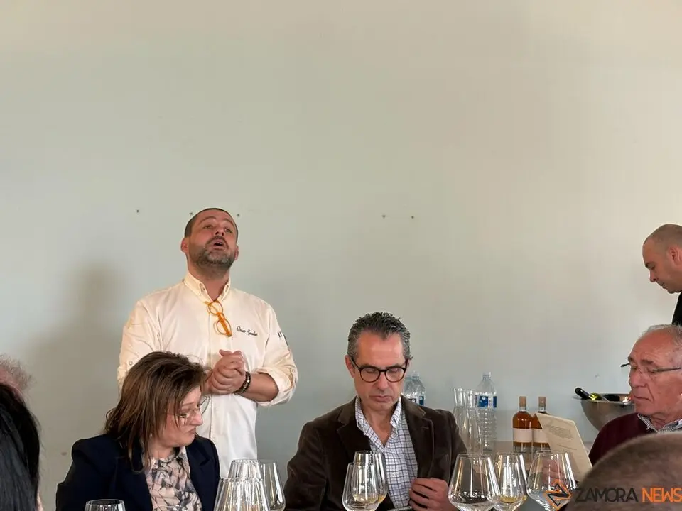 Festival Bragança_8