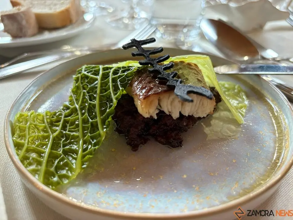 Festival Bragança_9