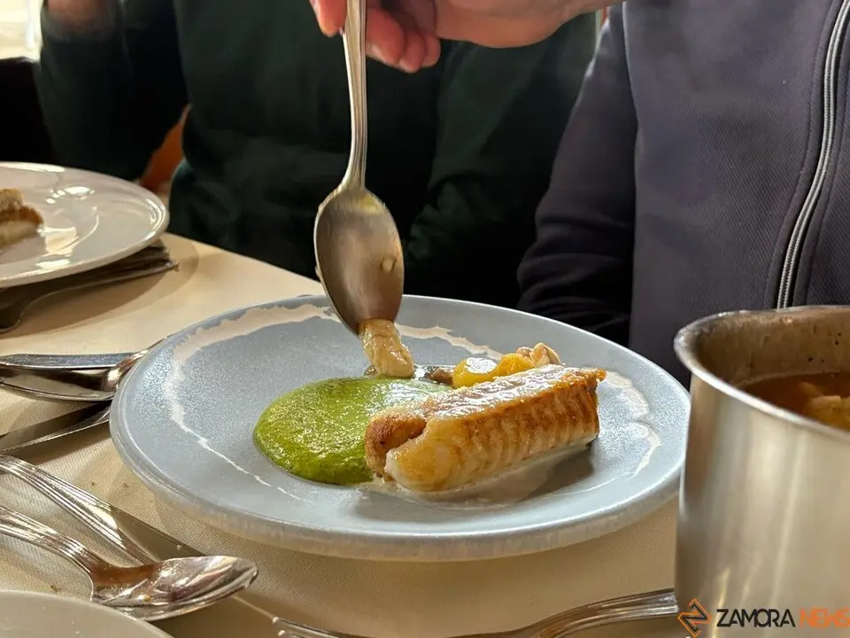 Festival Bragança_11