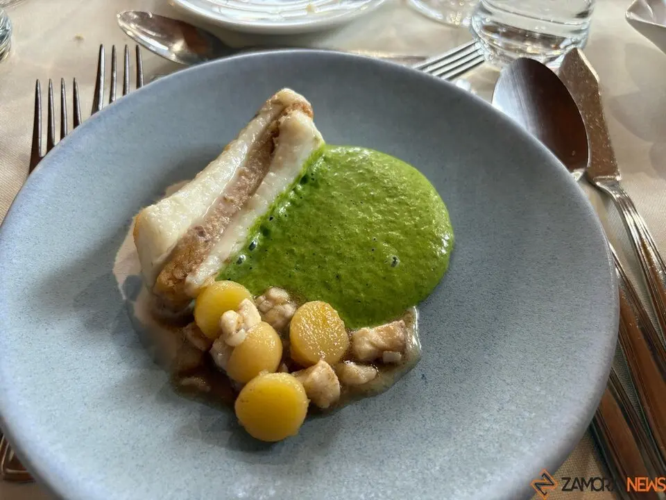 Festival Bragança_12