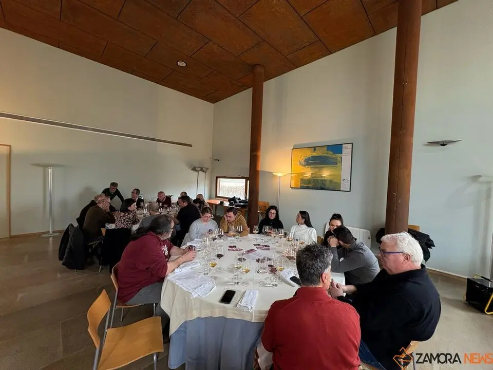 Festival Bragança_15