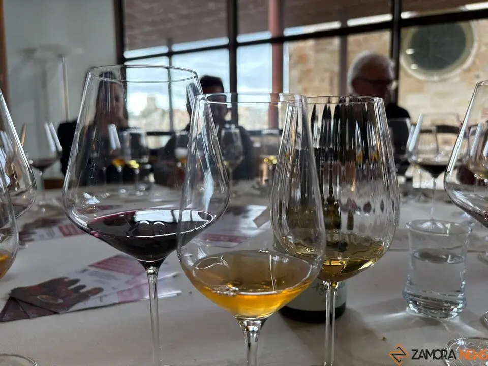 Festival Bragança_16