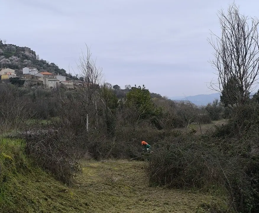 Fermoselle desbroce
