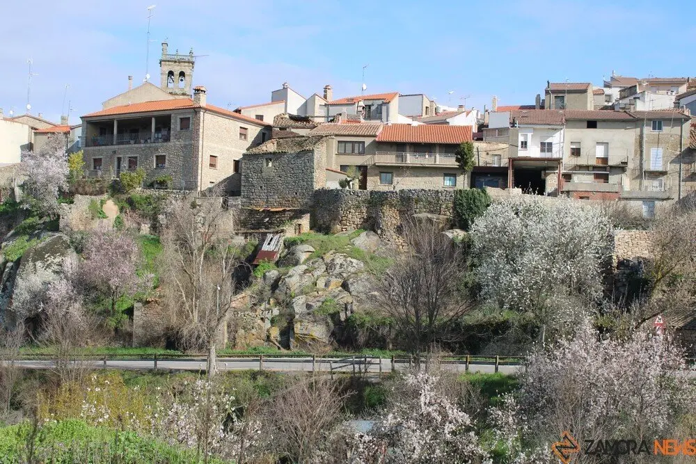 fermoselle almendros en flor _8