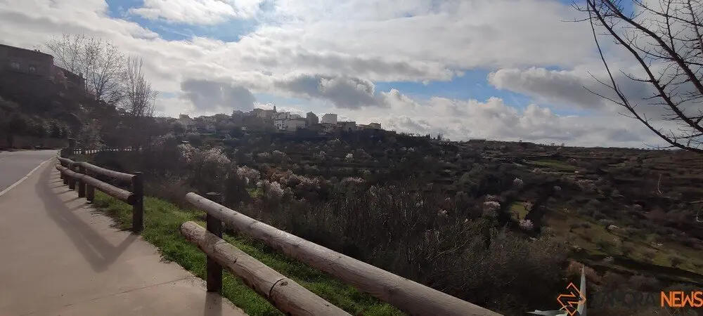 fermoselle almendros en flor 