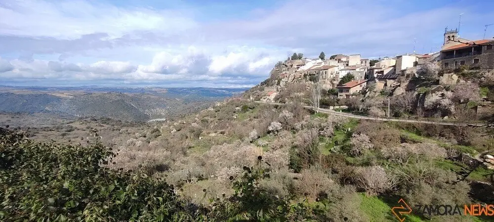 fermoselle almendros en flor _5