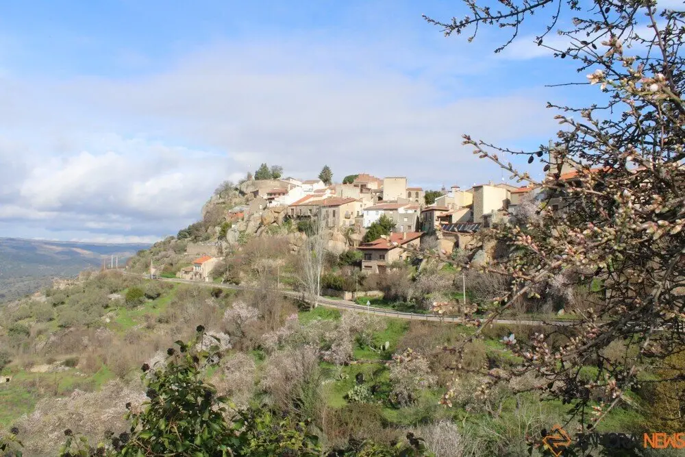 fermoselle almendros en flor _10