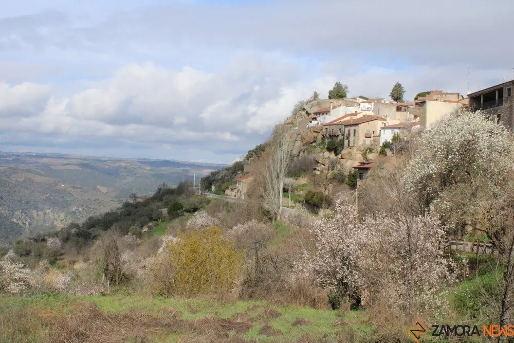 fermoselle almendros en flor _11
