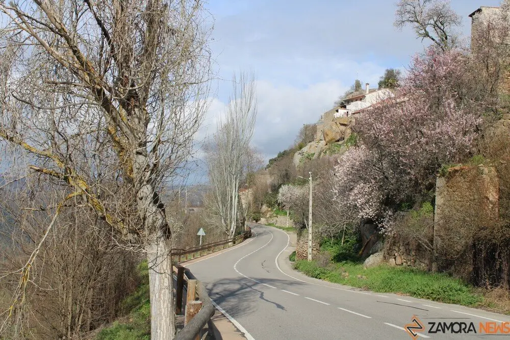 fermoselle almendros en flor _15